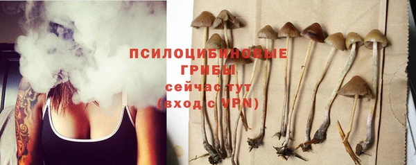 гидра Вязники