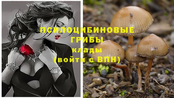 гашишное масло Вяземский