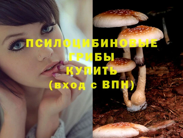 гашишное масло Вяземский