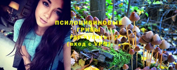 гидра Вязники