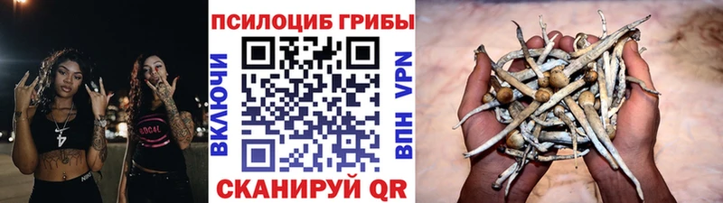 Псилоцибиновые грибы мухоморы  Купить где  Окуловка 